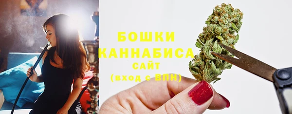 ECSTASY Кукмор