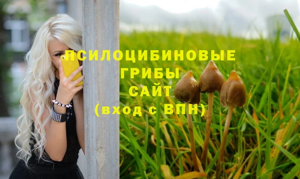 стаф Карталы