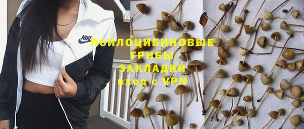 амф Касимов