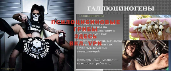 спайс Каменногорск