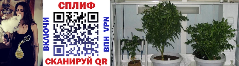 как найти наркотики  Ковдор  Каннабис THC 21% 